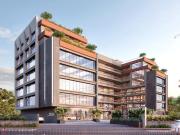 Saijpur Bogha Shop Shop For Sale Ahmedabad