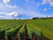 Saint Aignan 41110 Achat / Vente terrain