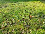 Saint Aignan Grandlieu 44860 Programme neuf terrain neuf...