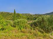 Saint André de la Roche 06730 Achat / Vente terrain