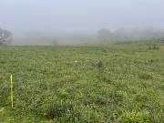 Saint André du Bois Vente Terrain 33