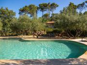 Saint Antonin du Var Propriété d’exception Villa en...