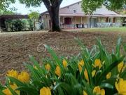 Saint Aquilin 24110 Achat / Vente maison 3 pièces t3...