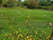 Saint Aulaye Vente Terrain 24