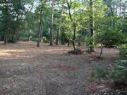 Saint Benoît la Forêt 37500 Programme neuf terrain neuf...