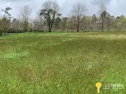 Saint Bonnet sur Gironde 17150 Achat / Vente terrain