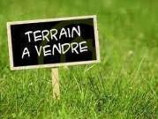 Saint Bonnet sur Gironde Vente Terrain 17