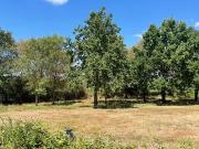 Saint Christophe du Ligneron 85670 Achat / Vente terrain