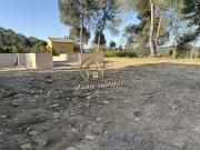 Saint Clément de Rivière 34980 Achat / Vente terrain