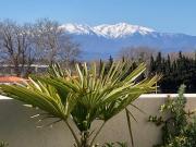 Saint Cyprien Vente Appartement 66