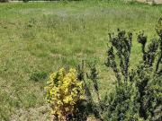 Saint Cyprien Vente Terrain 66