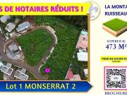 Saint Denis 97417 Achat / Vente terrain