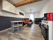 Saint Dié des Vosges Location Appartement 88