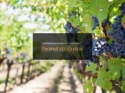 Saint Emilion 33330 Achat / Vente maison 9 pièces t9
