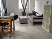 Saint Étienne Location Appartement 42