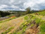 Saint Flour 15100 Achat / Vente terrain