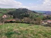 Saint Galmier 42330 Achat / Vente terrain