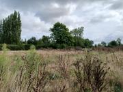 Saint Gatien des Bois Vente Terrain 14