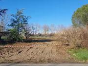 Saint Gauzens 81390 Achat / Vente terrain