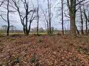 Saint Geours de Maremne 40230 Achat / Vente terrain