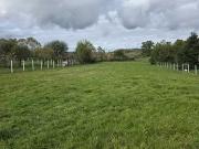 Saint Gérand le Puy 03150 Achat / Vente terrain