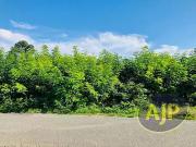 Saint Germain d'Esteuil 33340 Achat / Vente terrain