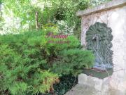 SAINT GERMAIN EN LAYE Lisière de forêt