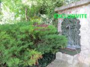 SAINT GERMAIN EN LAYE Lisière de forêt