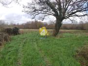 Saint Gildas des Bois Vente Terrain 44