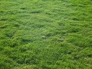 Saint Gilles Croix de Vie Vente Terrain 85