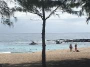 Saint Gilles Les Bains Vente Maison 97