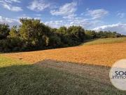 Saint Girons en Béarn 64300 Achat / Vente terrain