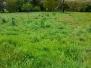 Saint Hilaire les Places 87800 Programme neuf terrain...