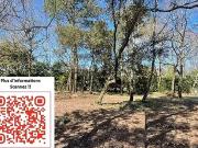 Saint Jean de Monts 85160 Programme neuf terrain neuf à...