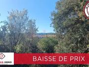 Saint Jean du Pin 30140 Achat / Vente terrain