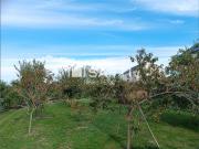 Saint Jean le Blanc Vente Terrain 45