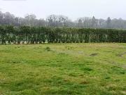 Saint Jean sur Vilaine 35220 Achat / Vente terrain