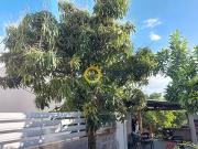 Saint Joseph 97480 Achat / Vente maison 6 pièces t6