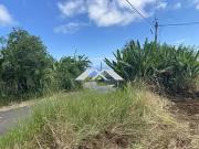 Saint Joseph 97480 Achat / Vente terrain