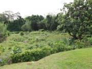 Saint Joseph Vente Terrain 97