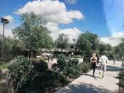 Saint Laurent de la Salanque 66250 Achat / Vente terrain