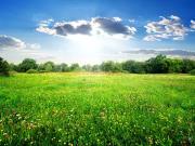 Saint Laurent Médoc 33112 Programme neuf terrain neuf à...