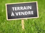 Saint Laurent sur Saône Vente Terrain 01