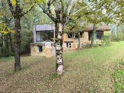 Saint Léon sur Vézère Vente Maison 24