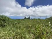 Saint Leu 97424 Achat / Vente terrain