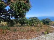 Saint Leu 97436 Achat / Vente terrain