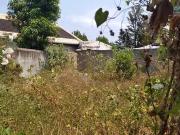 Saint Louis 97421 Achat / Vente terrain