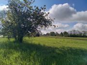 Saint Maurice en Rivière Vente Terrain 71