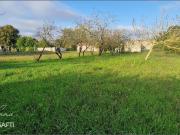 Saint Mard Vente Terrain 17