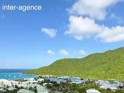 Saint Martin 97150 Achat / Vente appartement 2 pièces t2
